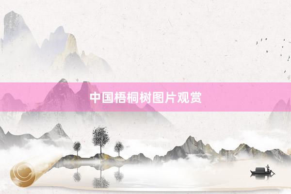 中国梧桐树图片观赏